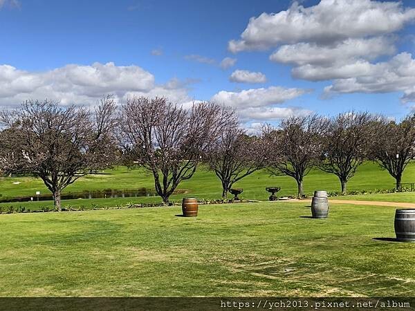 西澳伯斯天鵝河谷Sandalford酒莊品酒