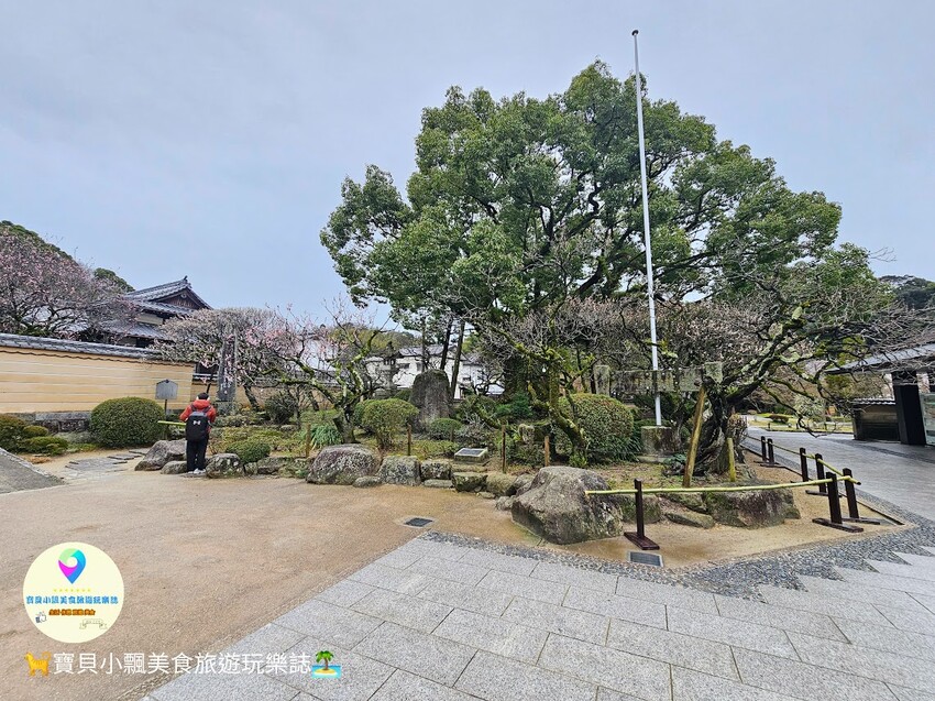 日本[旅遊]日本 福岡 漫步表參道商店街 逛伴手禮周邊小物 大口吃梅枝餅、草莓甜點 最後別忘了前往 太宰府天滿宮