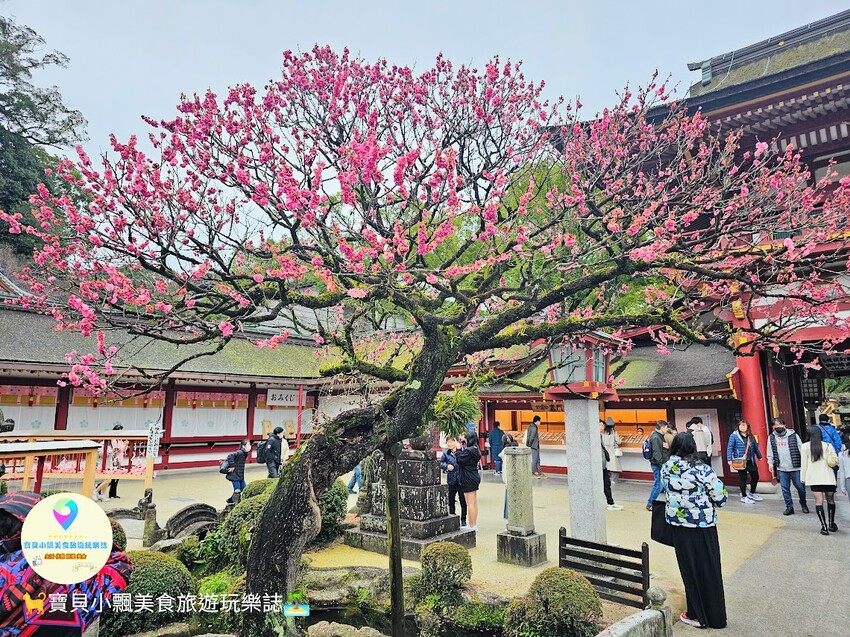 日本[旅遊]日本 福岡 漫步表參道商店街 逛伴手禮周邊小物 大口吃梅枝餅、草莓甜點 最後別忘了前往 太宰府天滿宮