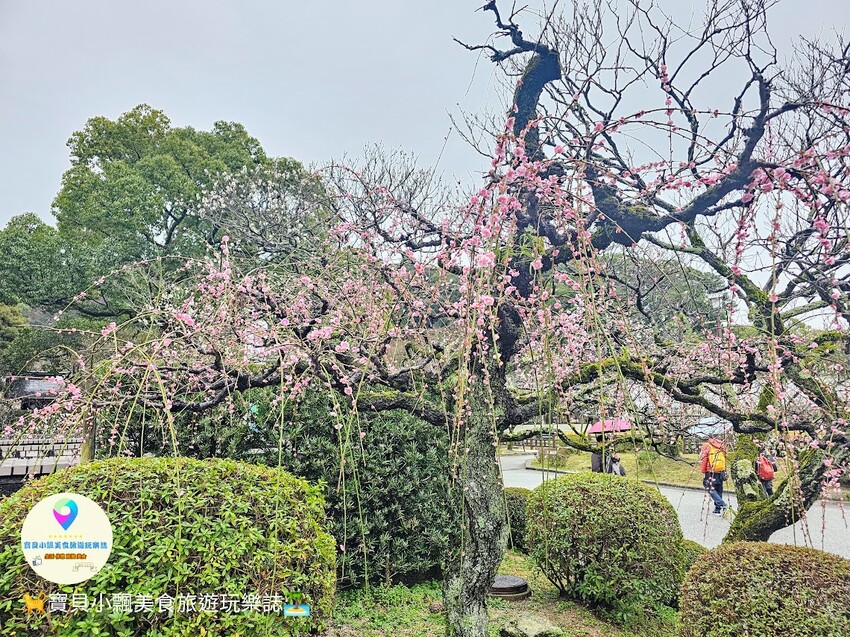 日本[旅遊]日本 福岡 漫步表參道商店街 逛伴手禮周邊小物 大口吃梅枝餅、草莓甜點 最後別忘了前往 太宰府天滿宮