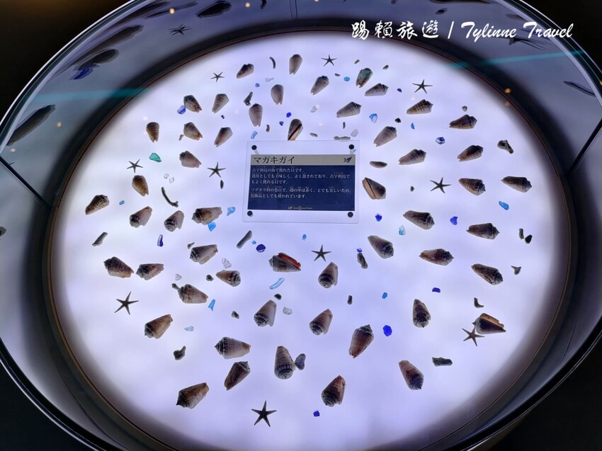 日本【沖繩景點】古宇利海洋塔，眺望絕美湛藍海景 | 清澈透光美麗海水 | 沖繩自駕約會景點 | 日本必去景點推薦