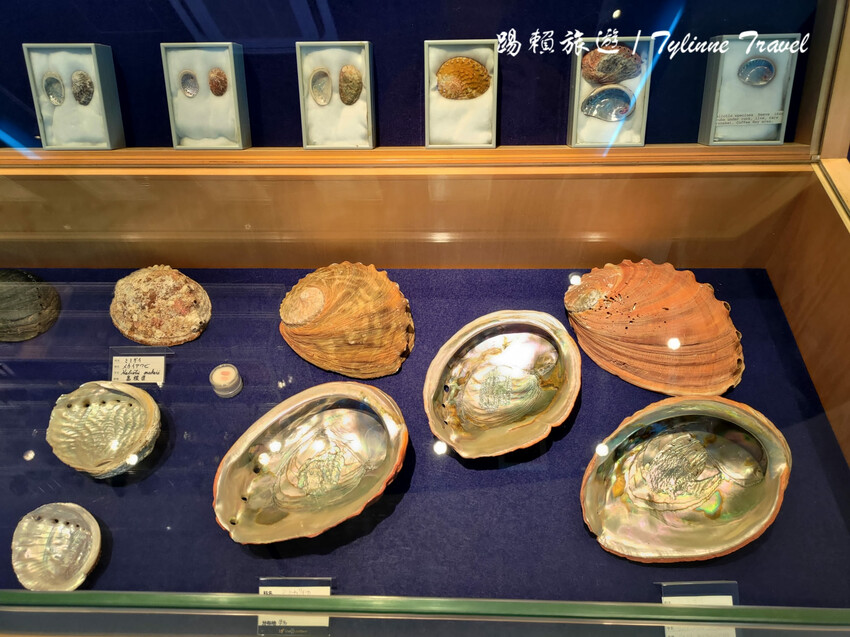 日本【沖繩景點】古宇利海洋塔，眺望絕美湛藍海景 | 清澈透光美麗海水 | 沖繩自駕約會景點 | 日本必去景點推薦