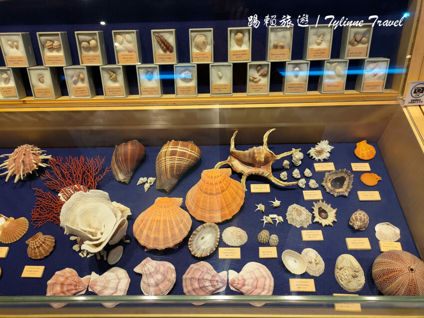 日本【沖繩景點】古宇利海洋塔，眺望絕美湛藍海景 | 清澈透光美麗海水 | 沖繩自駕約會景點 | 日本必去景點推薦