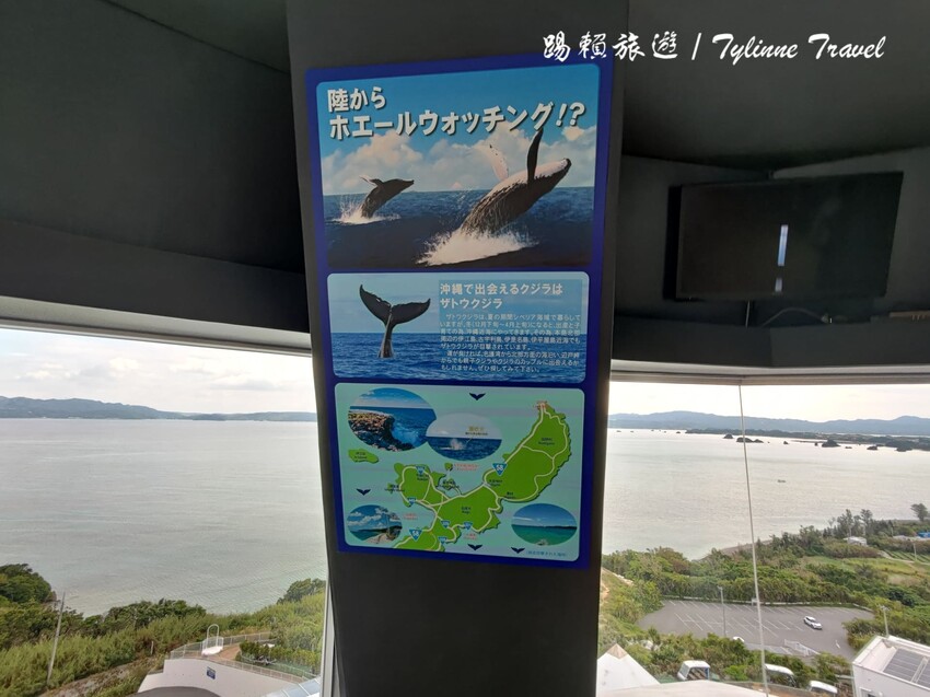 日本【沖繩景點】古宇利海洋塔，眺望絕美湛藍海景 | 清澈透光美麗海水 | 沖繩自駕約會景點 | 日本必去景點推薦