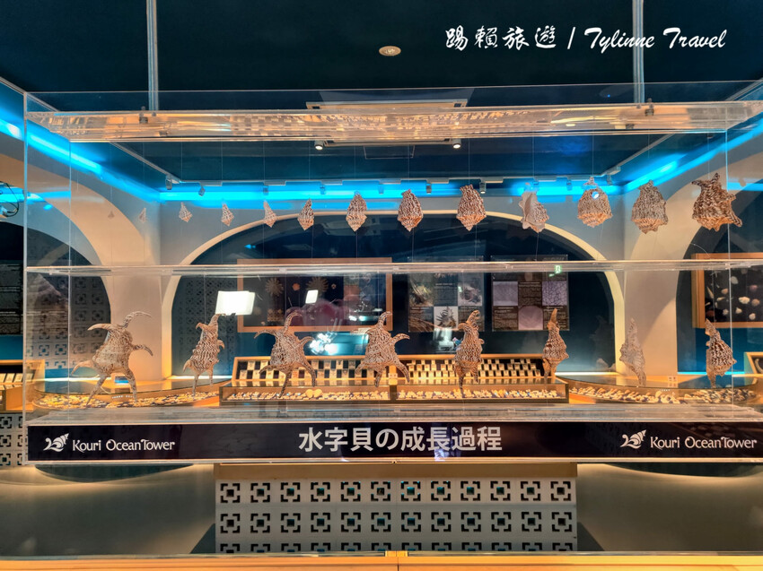 日本【沖繩景點】古宇利海洋塔，眺望絕美湛藍海景 | 清澈透光美麗海水 | 沖繩自駕約會景點 | 日本必去景點推薦