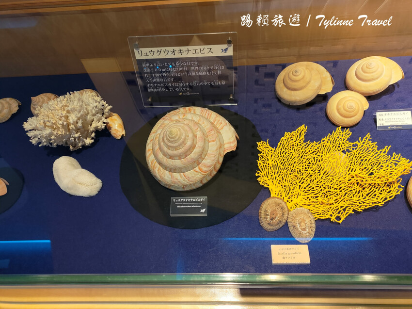 日本【沖繩景點】古宇利海洋塔，眺望絕美湛藍海景 | 清澈透光美麗海水 | 沖繩自駕約會景點 | 日本必去景點推薦