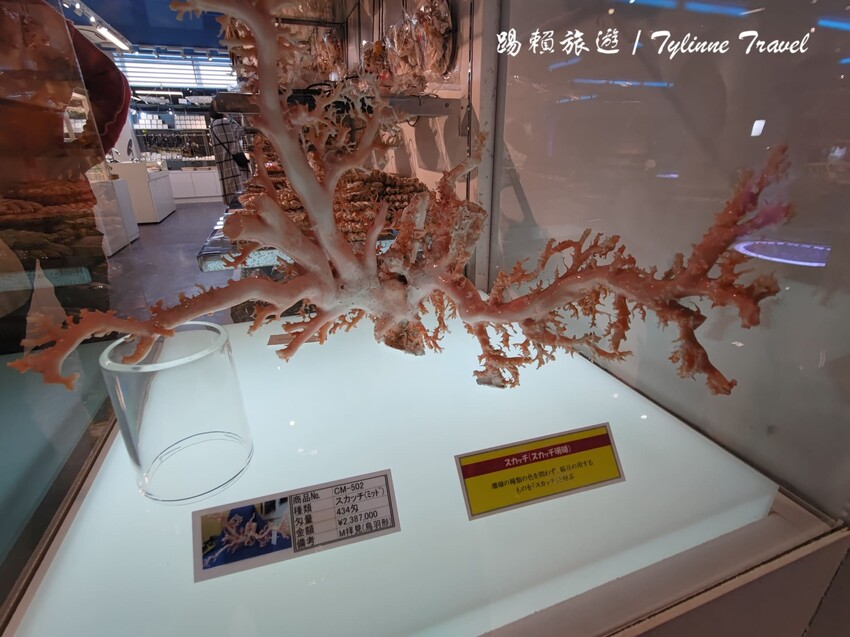 日本【沖繩景點】古宇利海洋塔，眺望絕美湛藍海景 | 清澈透光美麗海水 | 沖繩自駕約會景點 | 日本必去景點推薦