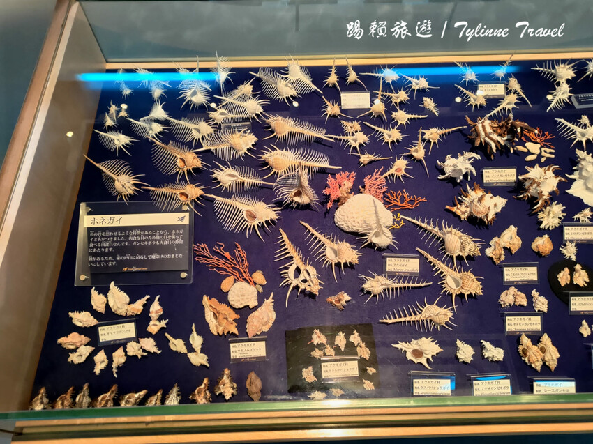 日本【沖繩景點】古宇利海洋塔，眺望絕美湛藍海景 | 清澈透光美麗海水 | 沖繩自駕約會景點 | 日本必去景點推薦