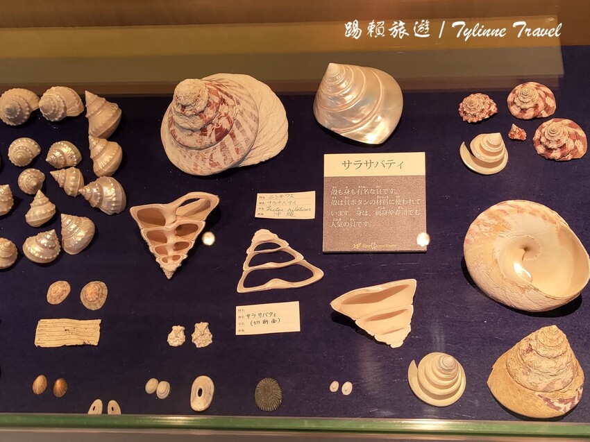 日本【沖繩景點】古宇利海洋塔，眺望絕美湛藍海景 | 清澈透光美麗海水 | 沖繩自駕約會景點 | 日本必去景點推薦