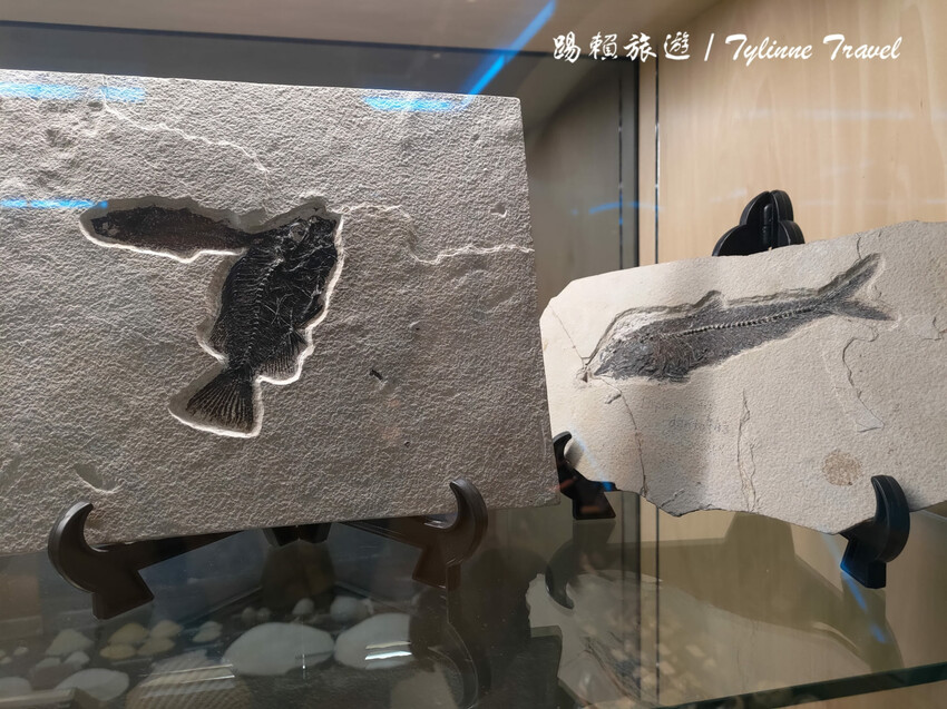 日本【沖繩景點】古宇利海洋塔，眺望絕美湛藍海景 | 清澈透光美麗海水 | 沖繩自駕約會景點 | 日本必去景點推薦