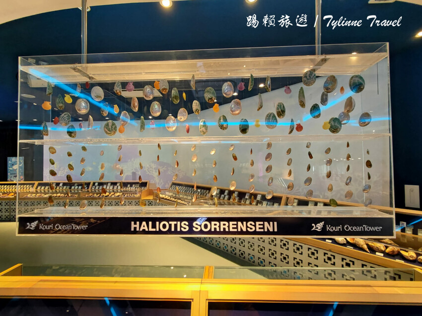 日本【沖繩景點】古宇利海洋塔，眺望絕美湛藍海景 | 清澈透光美麗海水 | 沖繩自駕約會景點 | 日本必去景點推薦