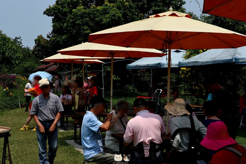 五-七月限定|彰化花壇鄉-虎山巖金針花季.母親節旅遊首選免門