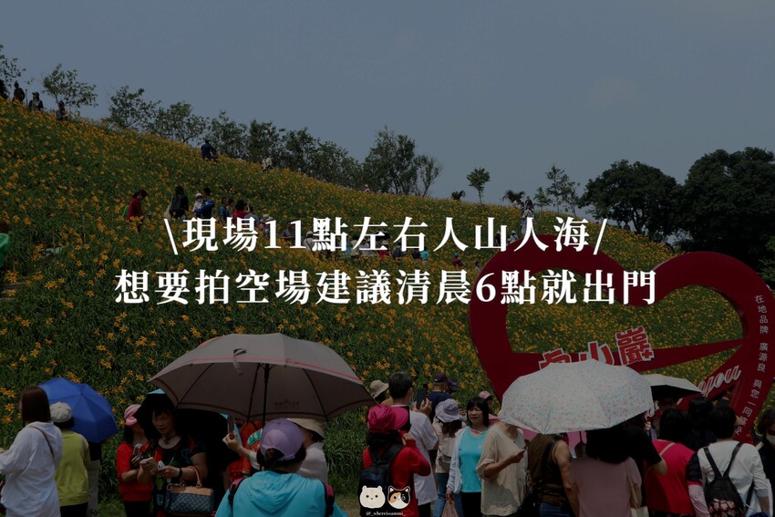 五-七月限定|彰化花壇鄉-虎山巖金針花季.母親節旅遊首選免門