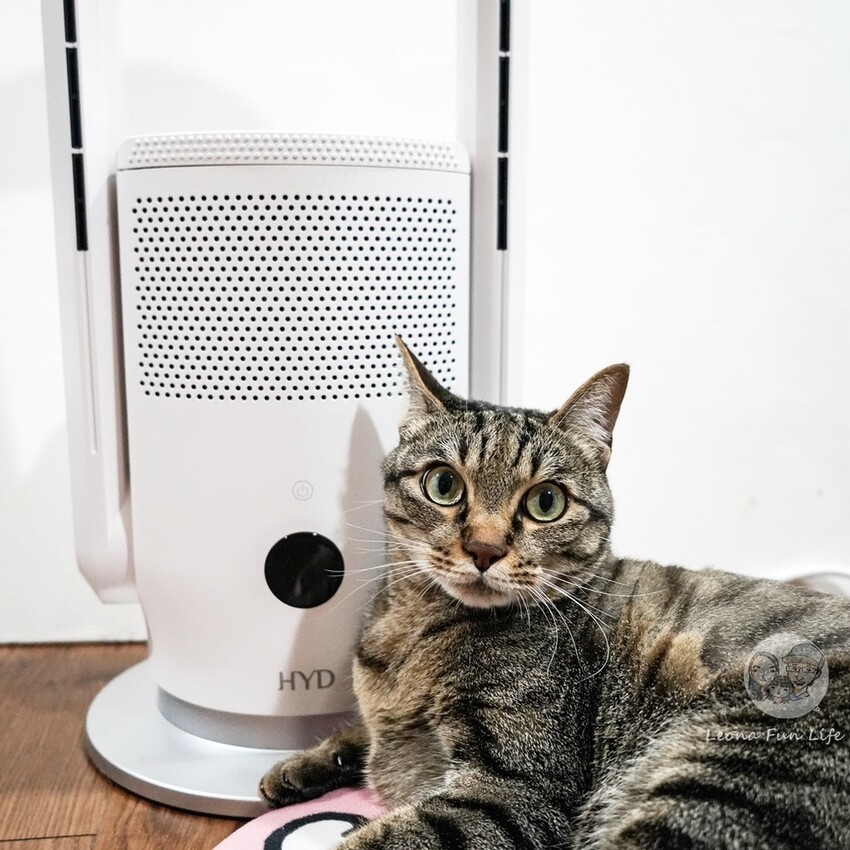 居家好物推薦|四機一體小坪數必備-HYD WeAir Plus IoT遠端智能涼暖風空氣清淨機 D-68