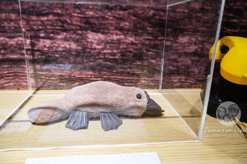 台中市大里區達克比來台中囉!!體驗達克比辦案巨型草叢大冒險,還有故事分享會可以同樂喔!台中活動|大里藝術廣場 Dali Ar