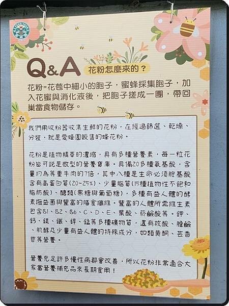 新竹景點推薦【竹北】愛蜂園《愛蜂主題館》☆預約制●寓教娛樂的蜜蜂生態導覽體驗(半日蜂農)有教育、有好玩、有好吃!!