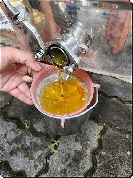 新竹景點推薦【竹北】愛蜂園《愛蜂主題館》☆預約制●寓教娛樂的蜜蜂生態導覽體驗(半日蜂農)有教育、有好玩、有好吃!!