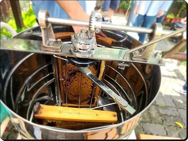 新竹景點推薦【竹北】愛蜂園《愛蜂主題館》☆預約制●寓教娛樂的蜜蜂生態導覽體驗(半日蜂農)有教育、有好玩、有好吃!!