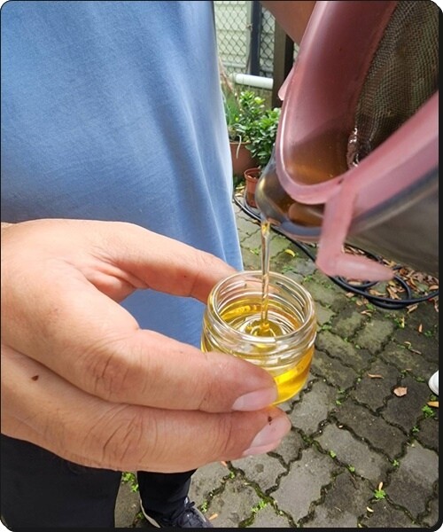 新竹景點推薦【竹北】愛蜂園《愛蜂主題館》☆預約制●寓教娛樂的蜜蜂生態導覽體驗(半日蜂農)有教育、有好玩、有好吃!!