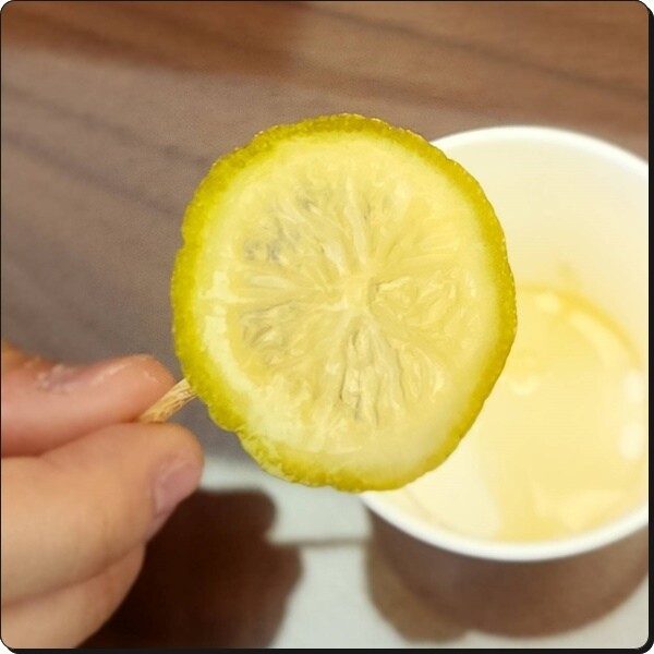 新竹景點推薦【竹北】愛蜂園《愛蜂主題館》☆預約制●寓教娛樂的蜜蜂生態導覽體驗(半日蜂農)有教育、有好玩、有好吃!!