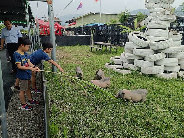 宜蘭縣礁溪鄉柯爺爺農場 | 宜蘭親子景點．近距離接觸小動物．免費變裝打卡趣．寵物友善園區