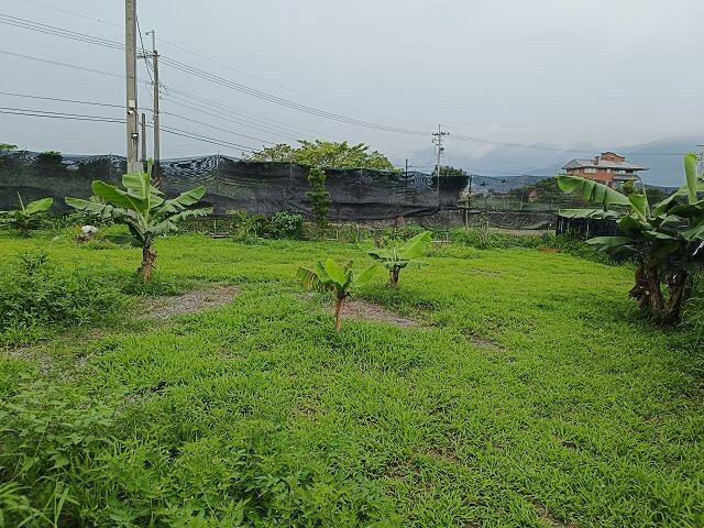 宜蘭縣礁溪鄉柯爺爺農場 | 宜蘭親子景點．近距離接觸小動物．免費變裝打卡趣．寵物友善園區