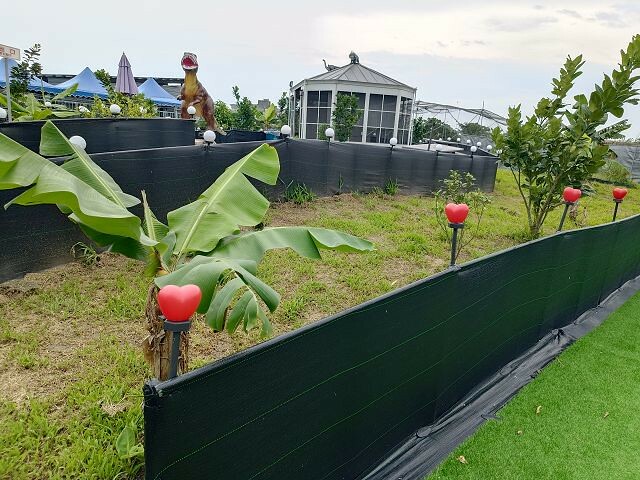 宜蘭縣礁溪鄉柯爺爺農場 | 宜蘭親子景點．近距離接觸小動物．免費變裝打卡趣．寵物友善園區