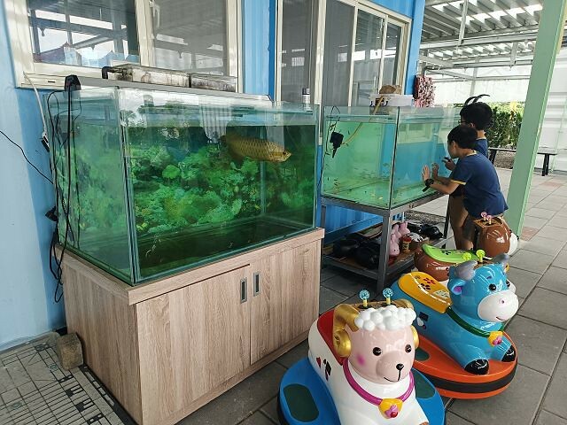 宜蘭縣礁溪鄉柯爺爺農場 | 宜蘭親子景點．近距離接觸小動物．免費變裝打卡趣．寵物友善園區