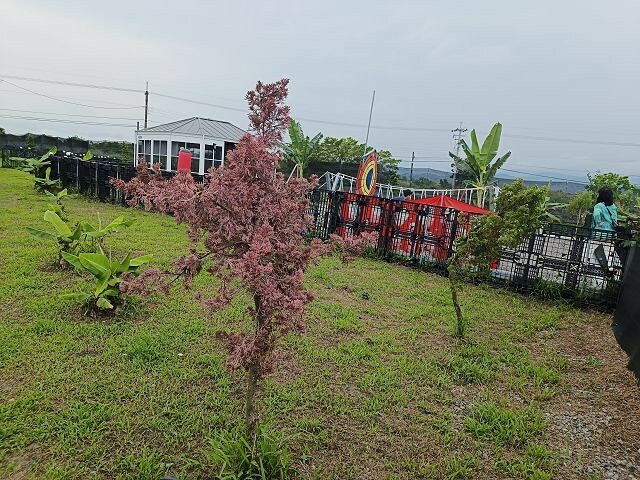 宜蘭縣礁溪鄉柯爺爺農場 | 宜蘭親子景點．近距離接觸小動物．免費變裝打卡趣．寵物友善園區