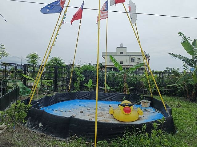 宜蘭縣礁溪鄉柯爺爺農場 | 宜蘭親子景點．近距離接觸小動物．免費變裝打卡趣．寵物友善園區