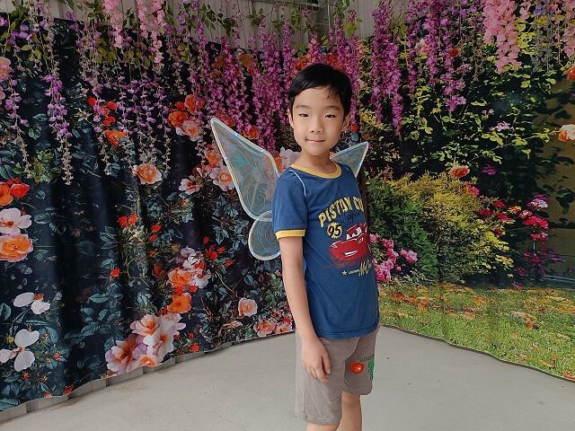 宜蘭縣礁溪鄉柯爺爺農場 | 宜蘭親子景點．近距離接觸小動物．免費變裝打卡趣．寵物友善園區