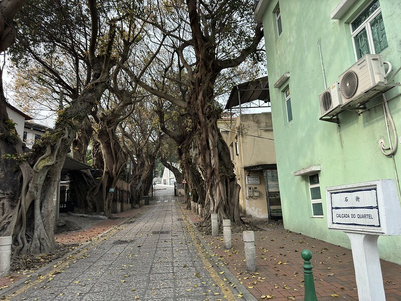 澳門澳門旅遊｜路環散策，遠離喧囂繁華，走入回憶，意外發現熟悉的影視角落。（安德魯蛋撻路環本店、路環聖方濟