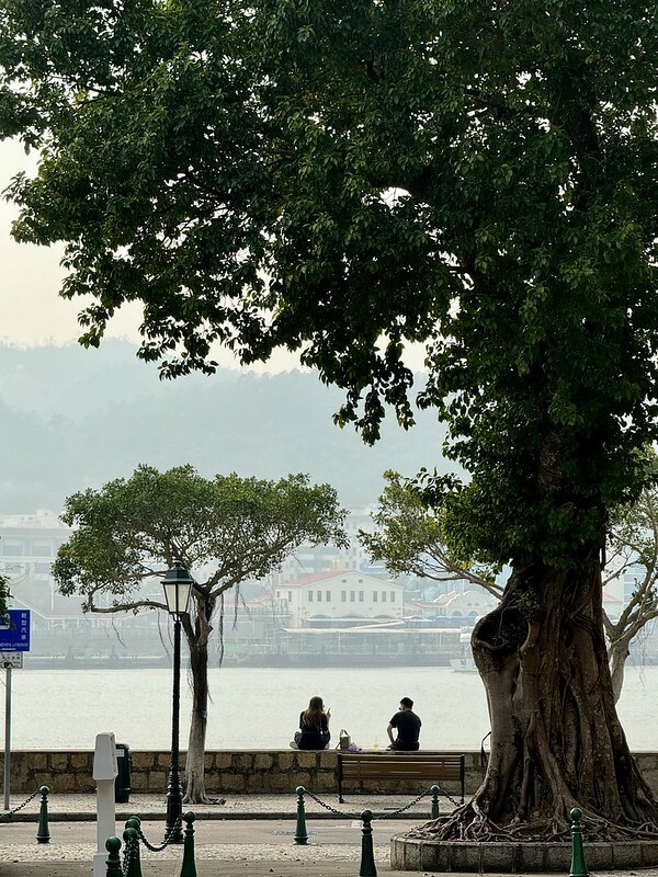 澳門澳門旅遊｜路環散策，遠離喧囂繁華，走入回憶，意外發現熟悉的影視角落。（安德魯蛋撻路環本店、路環聖方濟