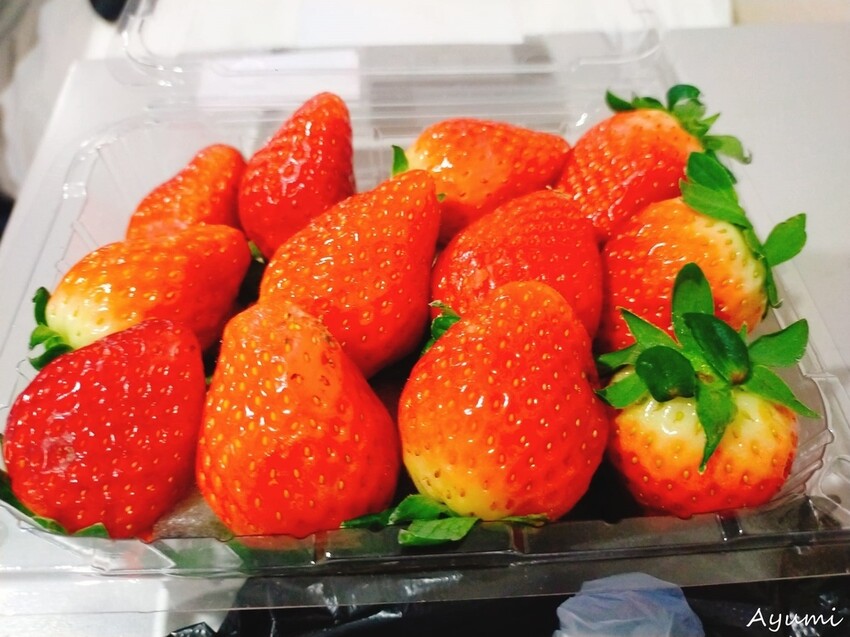 [2024釜山行]推薦住宿Notte La Mia Hote