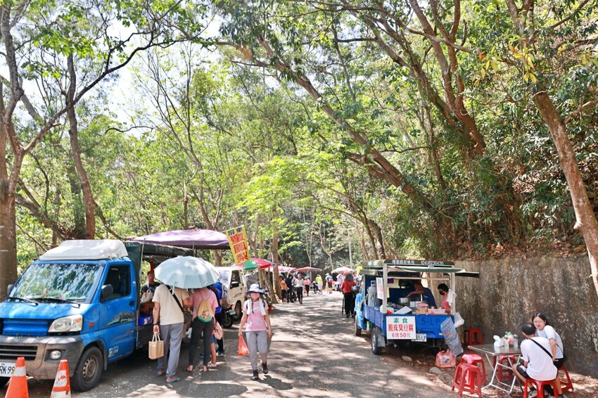 彰化縣員林市員林景點推薦客底遊員林相遇賞桐趣｜2024員林桐花小旅行，藤山步道、藤山市集～雪白登場