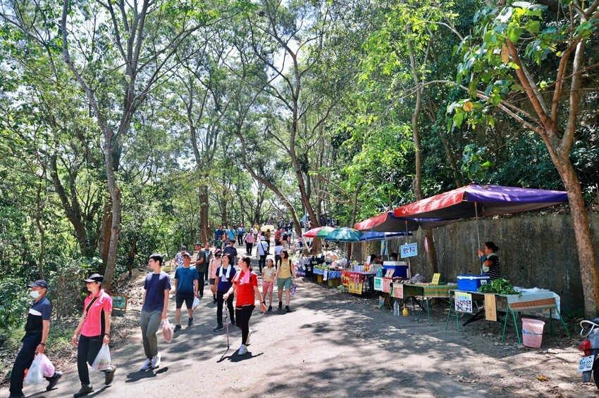 彰化縣員林市員林景點推薦客底遊員林相遇賞桐趣｜2024員林桐花小旅行，藤山步道、藤山市集～雪白登場