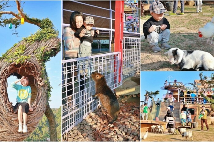 彰化縣彰化市彰化親子樂園景點推薦達拉Darla樂樂屋-室內親子樂園佔地兩百坪.一票299元玩到底.繽紛球池.陶瓷沙坑.迷你版