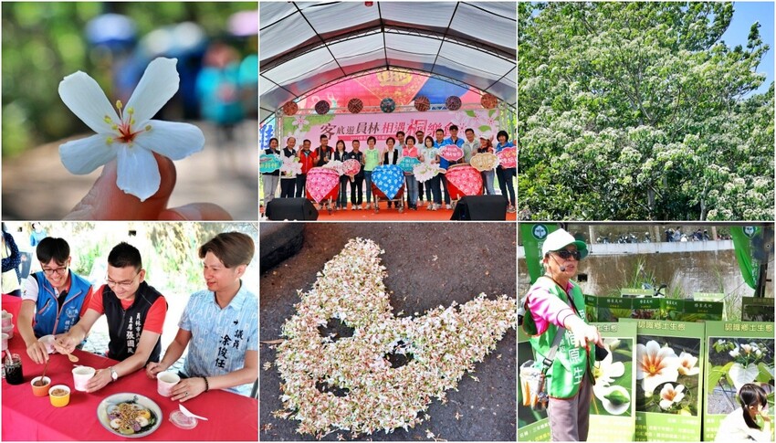 彰化縣員林市員林景點推薦客底遊員林相遇賞桐趣｜2024員林桐花小旅行，藤山步道、藤山市集～雪白登場