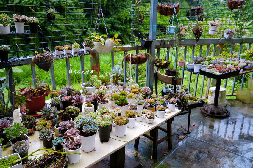 基國派老教堂,全台最美石砌老教堂,通往天堂之鑰,桃園復興景點