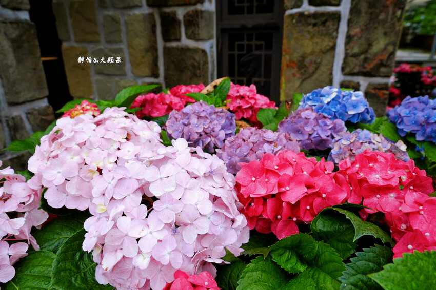 基國派老教堂,全台最美石砌老教堂,通往天堂之鑰,桃園復興景點