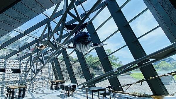 IMG_5330.jpg IMG_5330.jpg