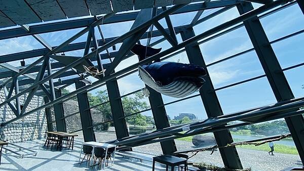 IMG_5331.jpg IMG_5331.jpg