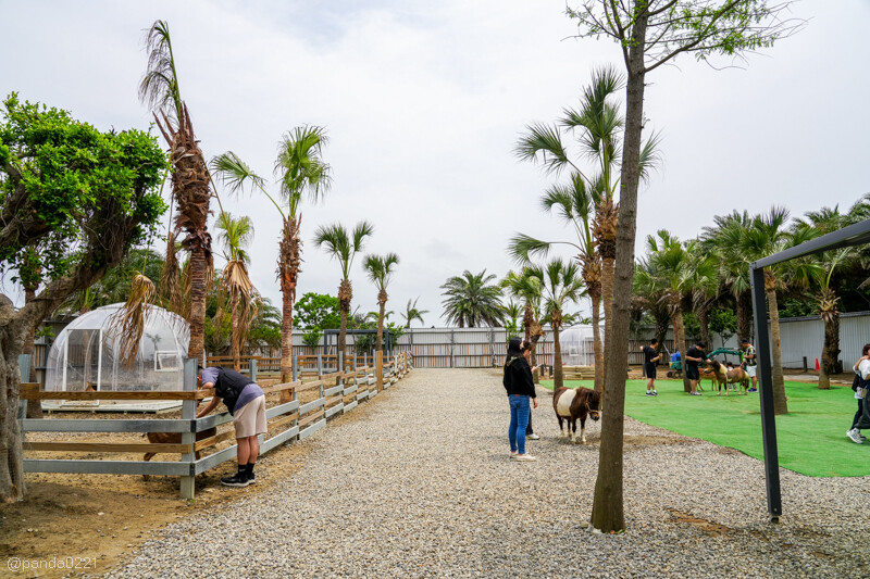 新竹香山｜廢物媽媽育兒農場．全園區採網路預約制！零距離可愛動物餵食，水豚君、梅花鹿、黑鼻羊、浣熊等～