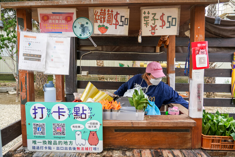 新竹香山｜廢物媽媽育兒農場．全園區採網路預約制！零距離可愛動物餵食，水豚君、梅花鹿、黑鼻羊、浣熊等～