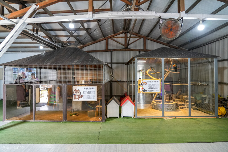 新竹香山｜廢物媽媽育兒農場．全園區採網路預約制！零距離可愛動物餵食，水豚君、梅花鹿、黑鼻羊、浣熊等～