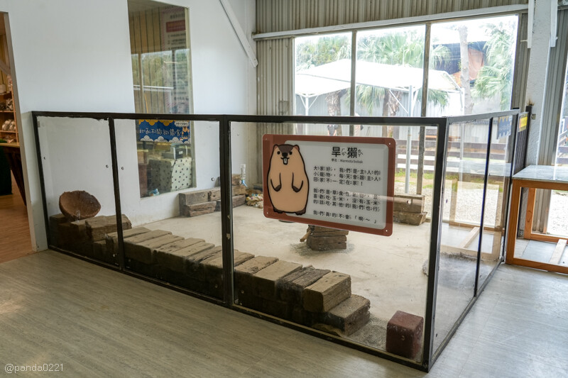 新竹香山｜廢物媽媽育兒農場．全園區採網路預約制！零距離可愛動物餵食，水豚君、梅花鹿、黑鼻羊、浣熊等～