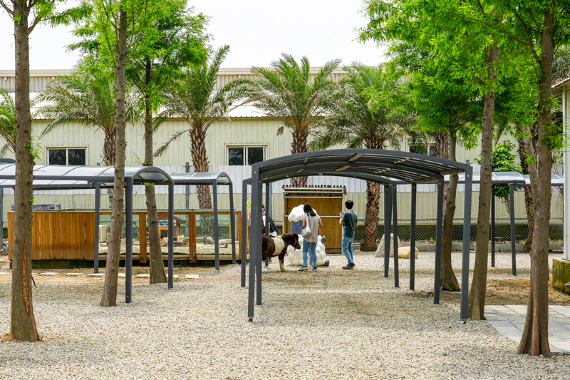 新竹香山｜廢物媽媽育兒農場．全園區採網路預約制！零距離可愛動物餵食，水豚君、梅花鹿、黑鼻羊、浣熊等～