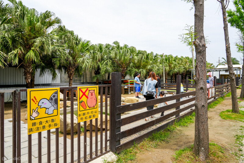 新竹香山｜廢物媽媽育兒農場．全園區採網路預約制！零距離可愛動物餵食，水豚君、梅花鹿、黑鼻羊、浣熊等～