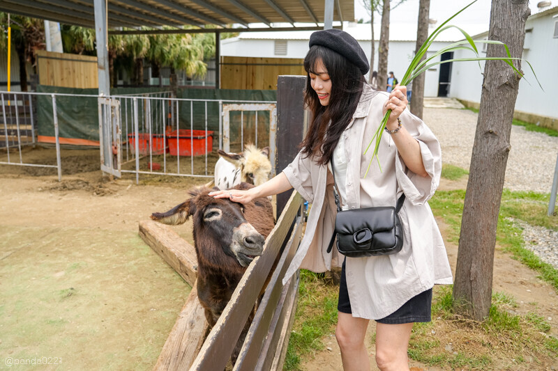 新竹香山｜廢物媽媽育兒農場．全園區採網路預約制！零距離可愛動物餵食，水豚君、梅花鹿、黑鼻羊、浣熊等～