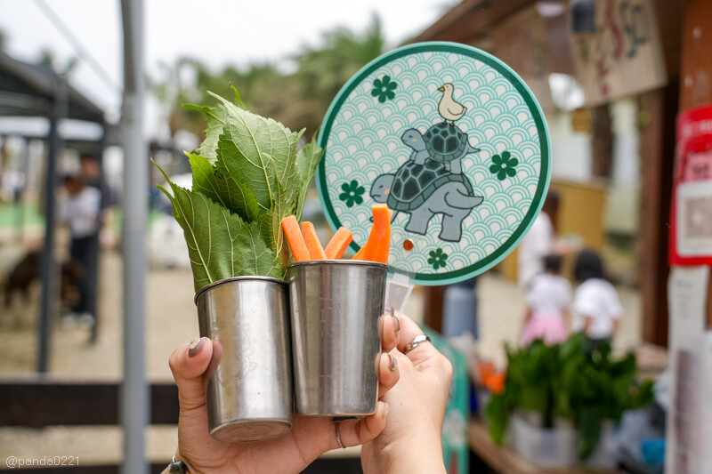 新竹香山｜廢物媽媽育兒農場．全園區採網路預約制！零距離可愛動物餵食，水豚君、梅花鹿、黑鼻羊、浣熊等～